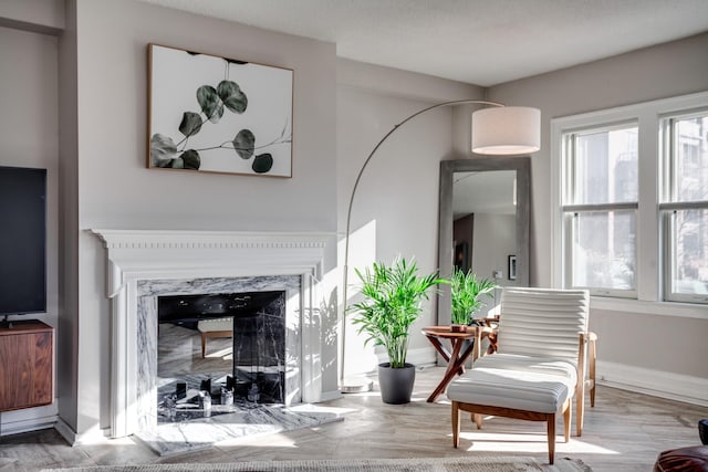 79 Western Ave N Unit 100, Saint Paul, MN 55102 - living area with plenty of natural light, a high end fireplace, and baseboards