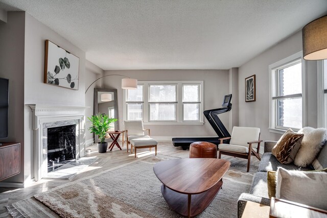 79 Western Ave N Unit 100, Saint Paul, MN 55102 - living room with healthy amount of natural light, a textured ceiling, a fireplace, and baseboards