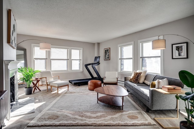 79 Western Ave N Unit 100, Saint Paul, MN 55102 - living area featuring a fireplace, a textured ceiling, wood finished floors, and baseboard heating