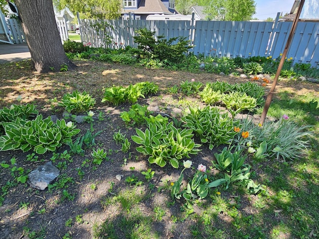 502 Park St S, Fairfax, MN 55332 - view of yard featuring fence