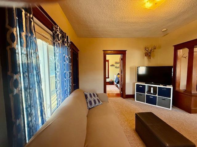 living area featuring carpet floors and a textured ceiling