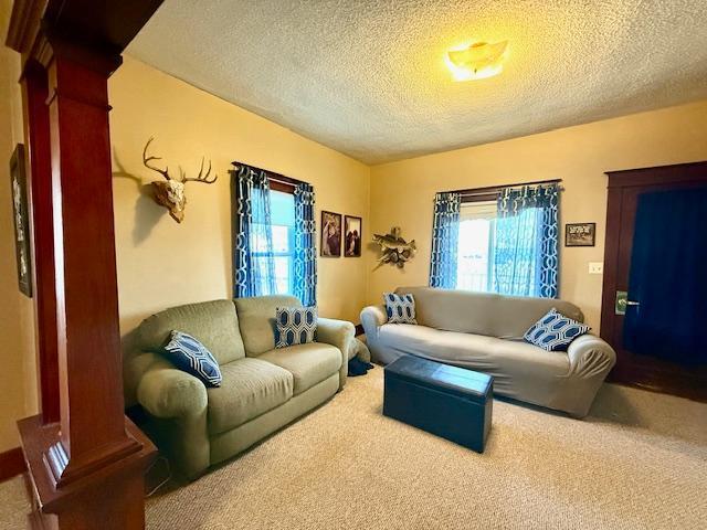 carpeted living room featuring a textured ceiling