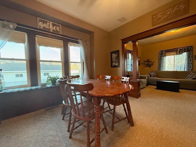 carpeted dining area featuring a wealth of natural light