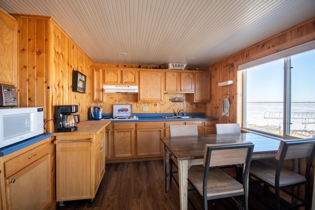 kitchen with a sink, white microwave, a wealth of natural light, and under cabinet range hood