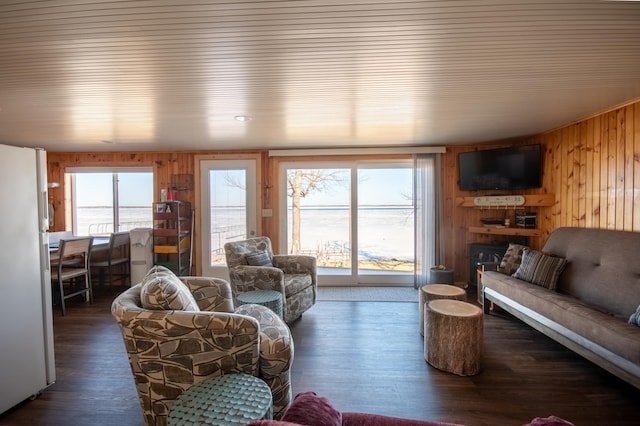 living room featuring wooden walls and wood finished floors