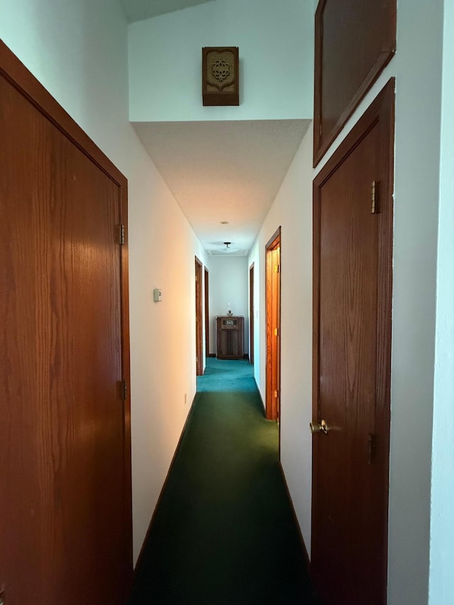 7996 Corey Path, Inver Grove Heights, MN 55076 - hallway with dark carpet