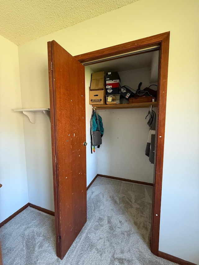 7996 Corey Path, Inver Grove Heights, MN 55076 - view of closet