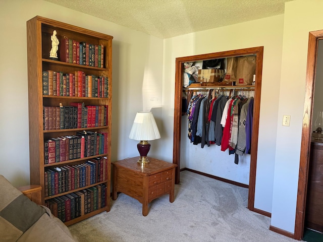7996 Corey Path, Inver Grove Heights, MN 55076 - sitting room with carpet, a textured ceiling, and baseboards
