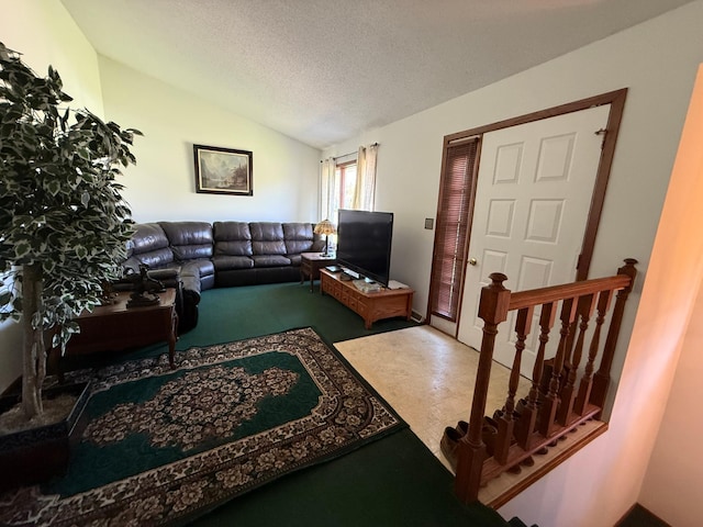 7996 Corey Path, Inver Grove Heights, MN 55076 - living area featuring lofted ceiling, a textured ceiling, and carpet