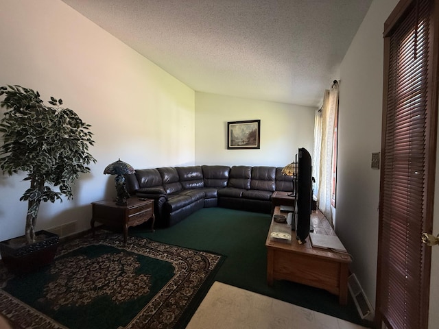 7996 Corey Path, Inver Grove Heights, MN 55076 - living room with lofted ceiling, carpet floors, and a textured ceiling
