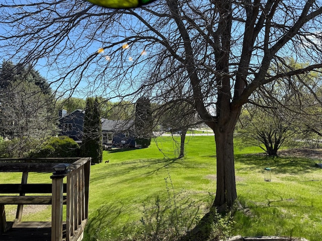 7996 Corey Path, Inver Grove Heights, MN 55076 - view of grassy yard
