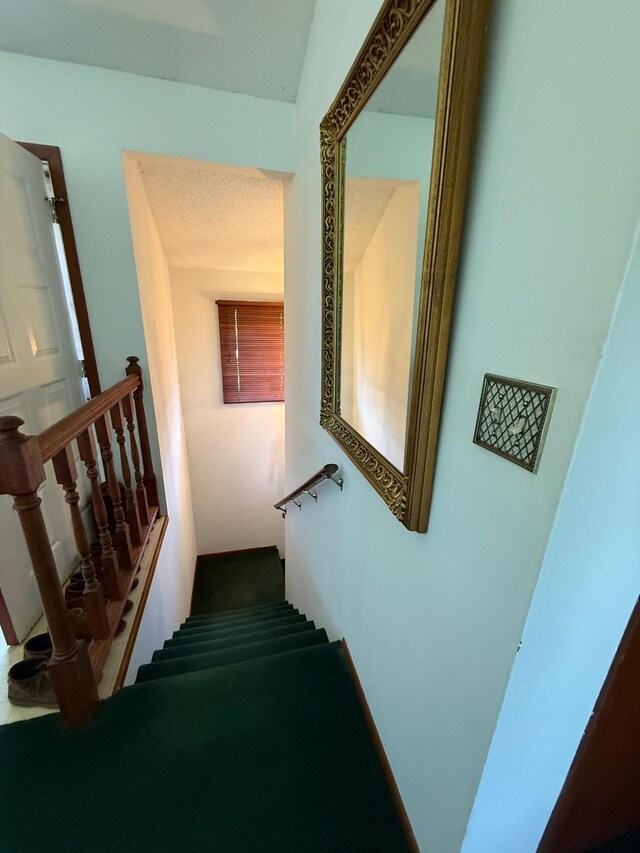 7996 Corey Path, Inver Grove Heights, MN 55076 - staircase with carpet flooring