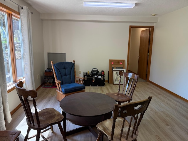 7996 Corey Path, Inver Grove Heights, MN 55076 - sitting room featuring plenty of natural light, light wood finished floors, and baseboards