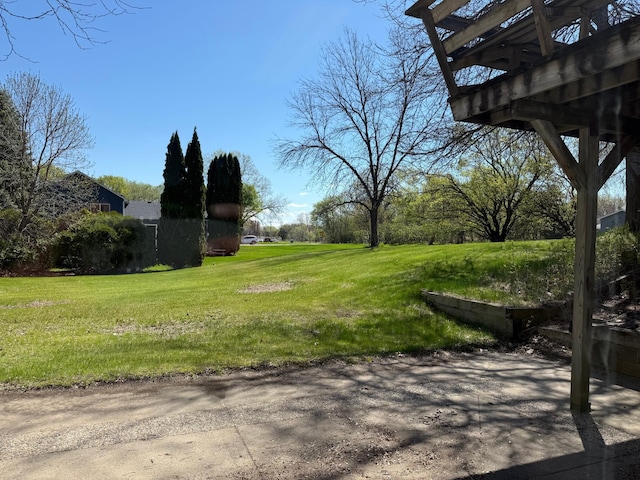 7996 Corey Path, Inver Grove Heights, MN 55076 - view of green lawn