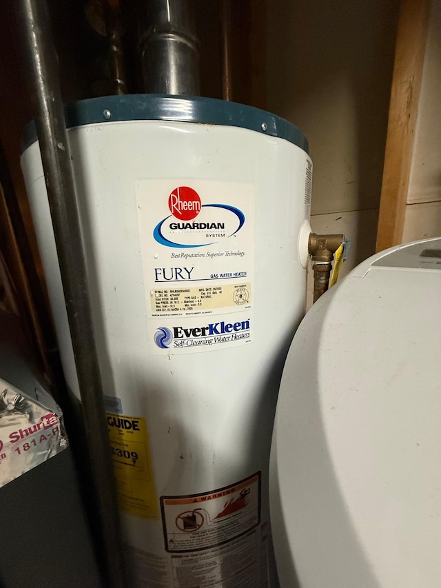 7996 Corey Path, Inver Grove Heights, MN 55076 - detailed view of gas water heater