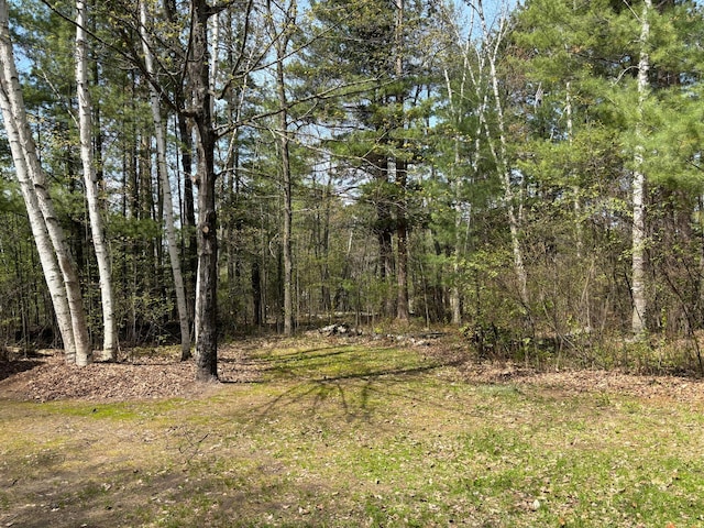 47241 186th Pl, Mcgregor, MN 55760 - view of wooded area