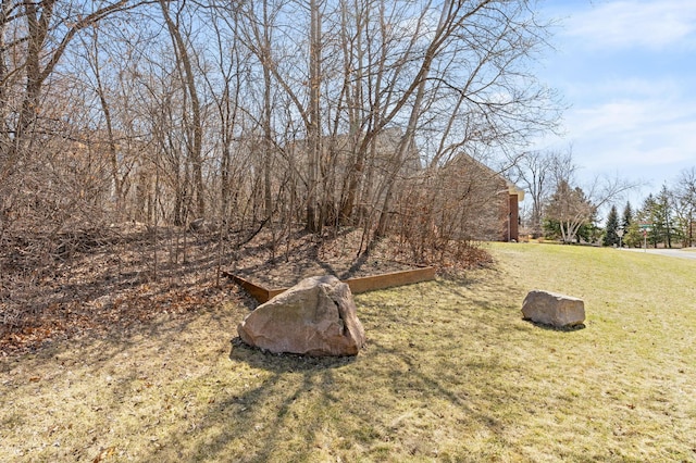 16500 Irwindale Way, Lakeville, MN 55044 - view of green lawn