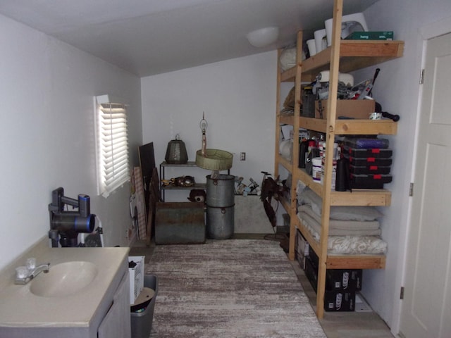 storage area with a sink
