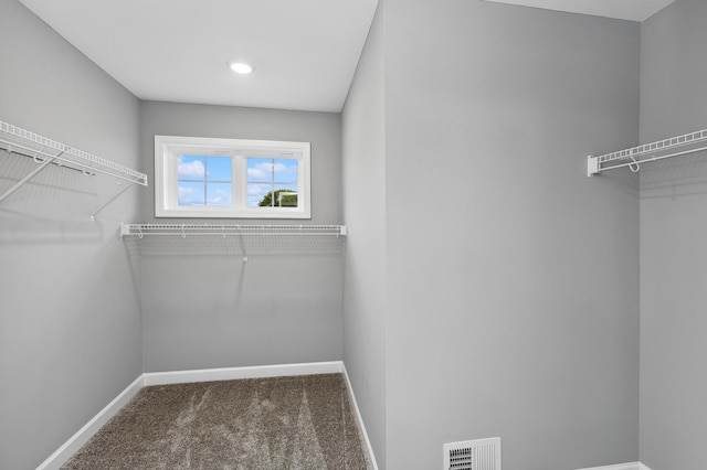 walk in closet with visible vents and carpet