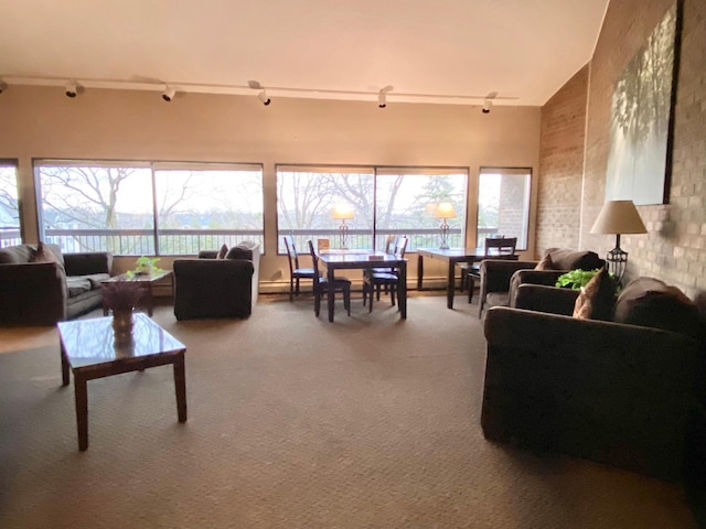 living area featuring track lighting, carpet flooring, and a wealth of natural light