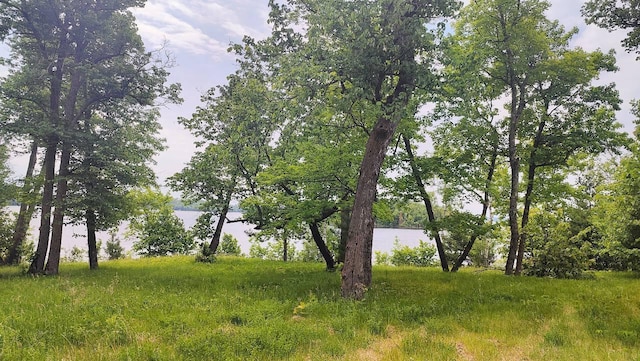 4839 Ambassador Point Ct, Leiding Twp, MN 55771