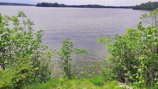 4839 Ambassador Point Ct, Leiding Twp, MN 55771