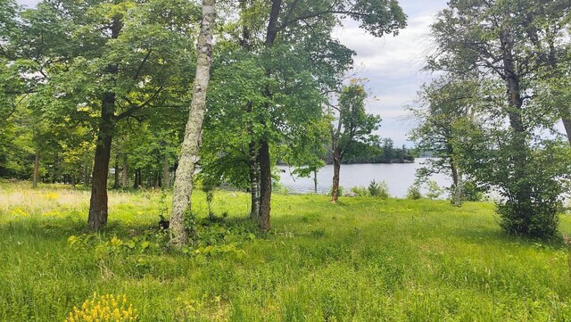 4839 Ambassador Point Ct, Leiding Twp, MN 55771