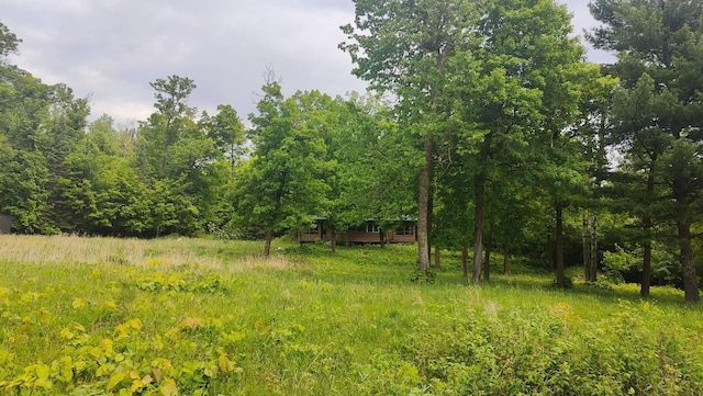 4839 Ambassador Point Ct, Leiding Twp, MN 55771