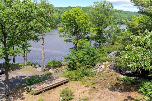 1109 Hamilton St, Saint Croix Falls, WI 54024 - water view featuring a heavily wooded area