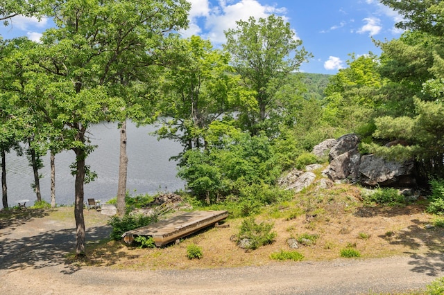 1109 Hamilton St, Saint Croix Falls, WI 54024 - water view