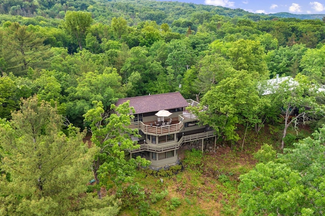 1109 Hamilton St, Saint Croix Falls, WI 54024 - view of subject property featuring a heavily wooded area