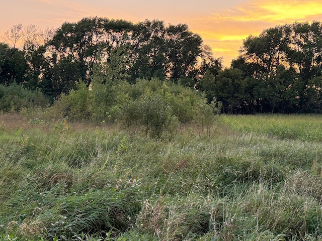 TBD 66th St, New Richland, MN 56072