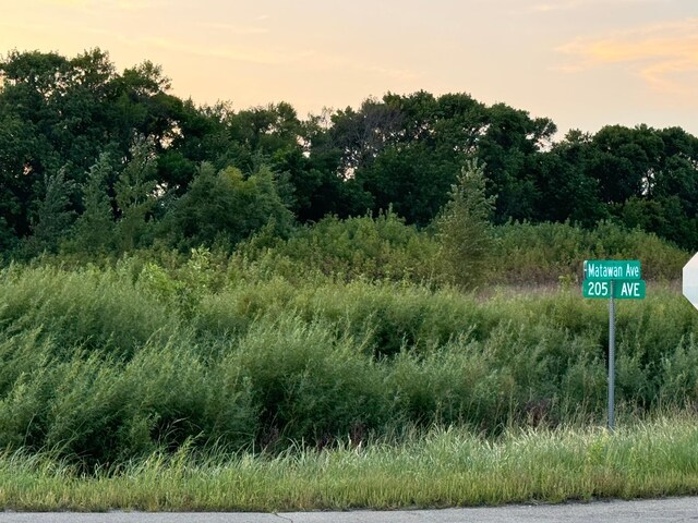 TBD 66th St, New Richland, MN 56072