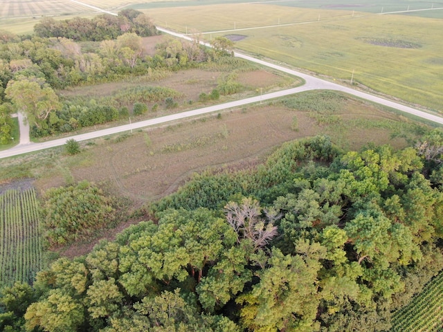 TBD 66th St, New Richland, MN 56072
