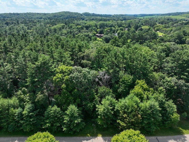 N6929 549th St, Menomonie, WI 54751 - photo 13