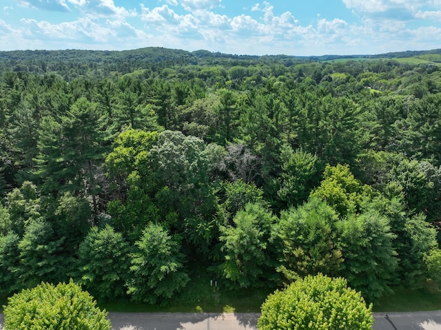 LOT34, 35 549th St, Menomonie, WI 54751 - photo 16