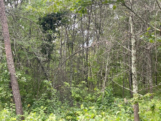 LOT4 Patriot Ave, Pequot Lakes, MN 56472 - photo 2