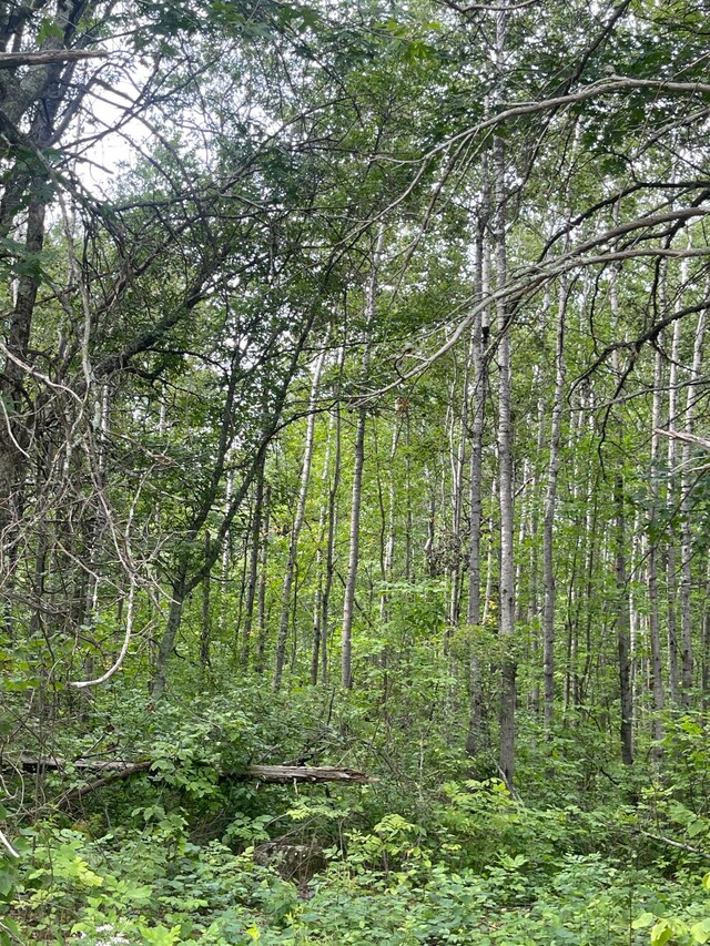 LOT4 Patriot Ave, Pequot Lakes, MN 56472 - photo 4
