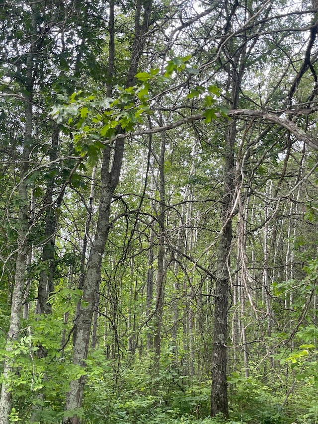 LOT4 Patriot Ave, Pequot Lakes, MN 56472 - photo 5