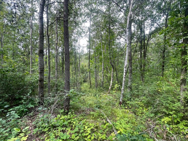 LOT1 Patriot Ave, Pequot Lakes, MN 56472 - photo 2