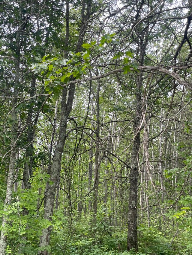 LOT1 Patriot Ave, Pequot Lakes, MN 56472 - photo 5