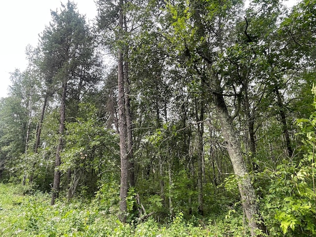 LOT1 Patriot Ave, Pequot Lakes, MN 56472 - photo 6