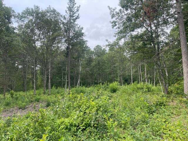 LOT1 Patriot Ave, Pequot Lakes, MN 56472 - photo 9
