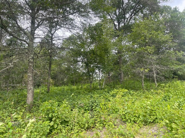 LOT1 Patriot Ave, Pequot Lakes, MN 56472 - photo 10