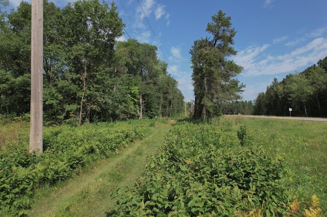 LOT1 Patriot Ave, Pequot Lakes, MN 56472 - photo 30