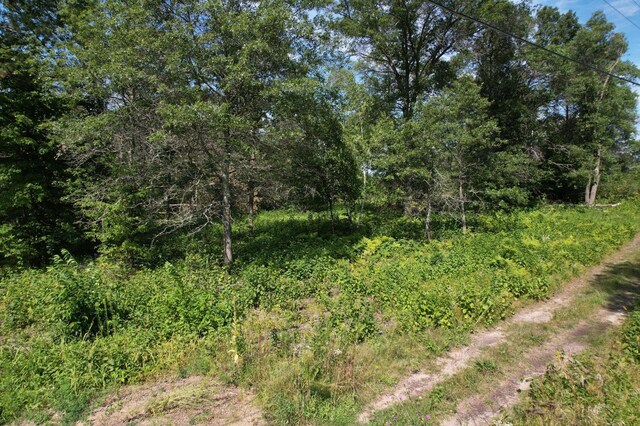 LOT1 Patriot Ave, Pequot Lakes, MN 56472 - photo 31