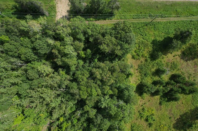 LOT1 Patriot Ave, Pequot Lakes, MN 56472 - photo 38