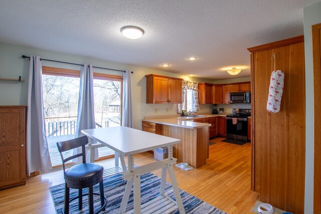 17367 Gull Lake Loop Rd NE, Bemidji, MN 56601 - kitchen with electric range, stainless steel microwave, light wood-style flooring, light countertops, and a textured ceiling