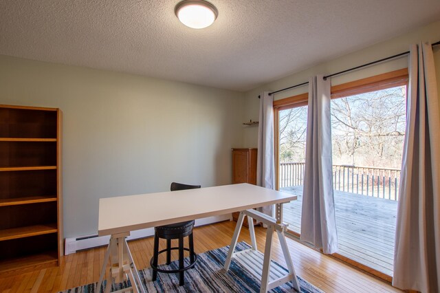 17367 Gull Lake Loop Rd NE, Bemidji, MN 56601 - office area with light wood-style floors and a textured ceiling