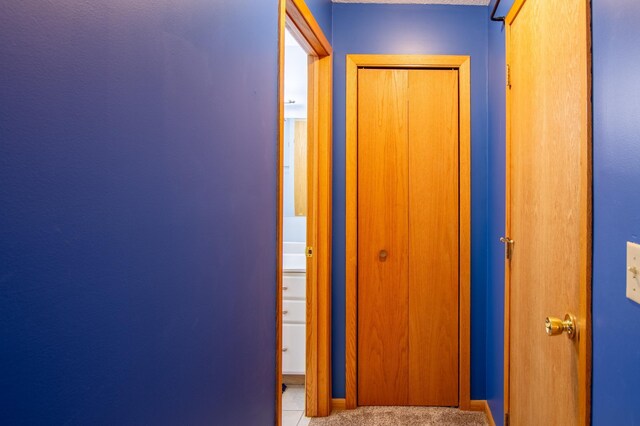 17367 Gull Lake Loop Rd NE, Bemidji, MN 56601 - hallway with carpet floors